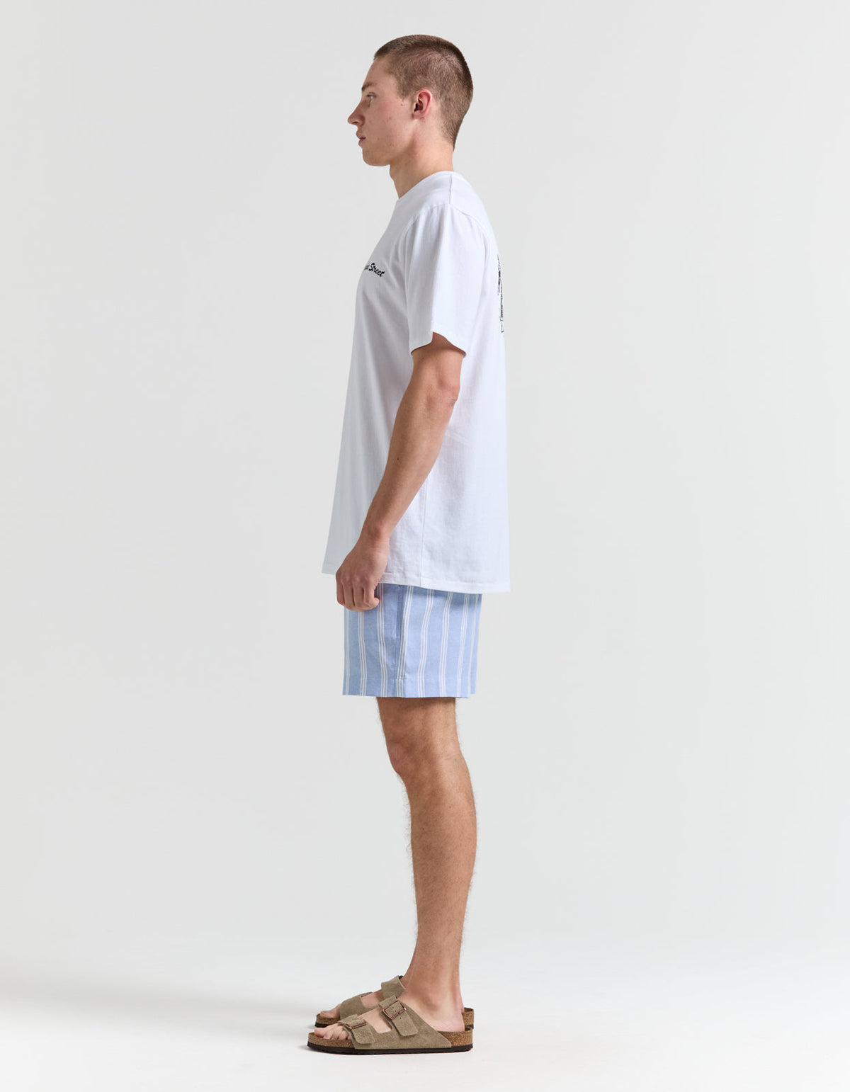 Cove Stripe Walkshort - Blue Stripe