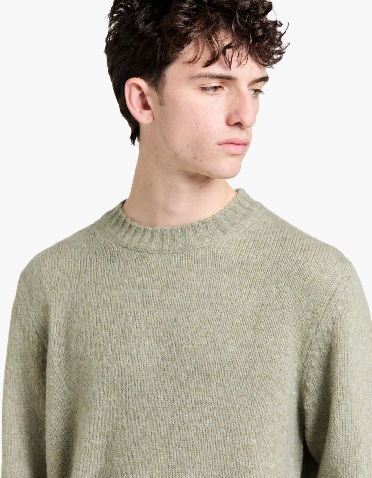 Lee Sweater 6598 - Valley Green 313